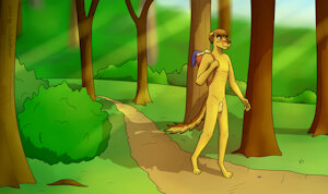 Walk in the woods