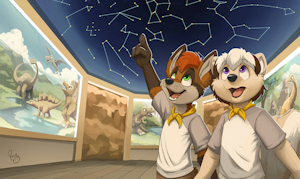 Summer Camp