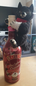 Little Balto found tasty drink!