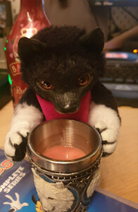 Drunk Little Balto