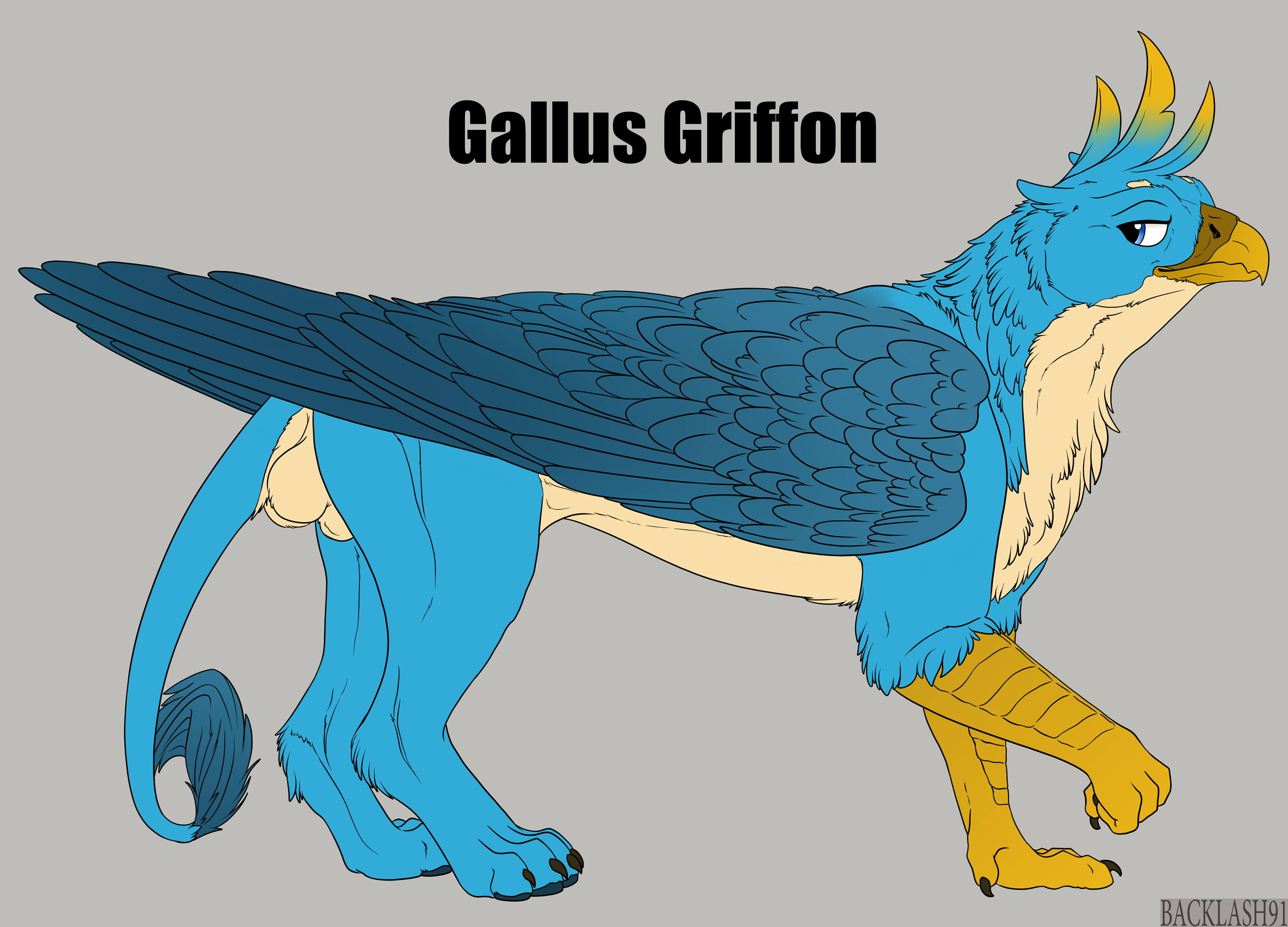 3934683_Backlash91_gallus_griffon_1.png
