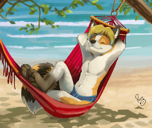 Hammock