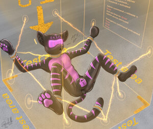 Test accident n°0237 1/2