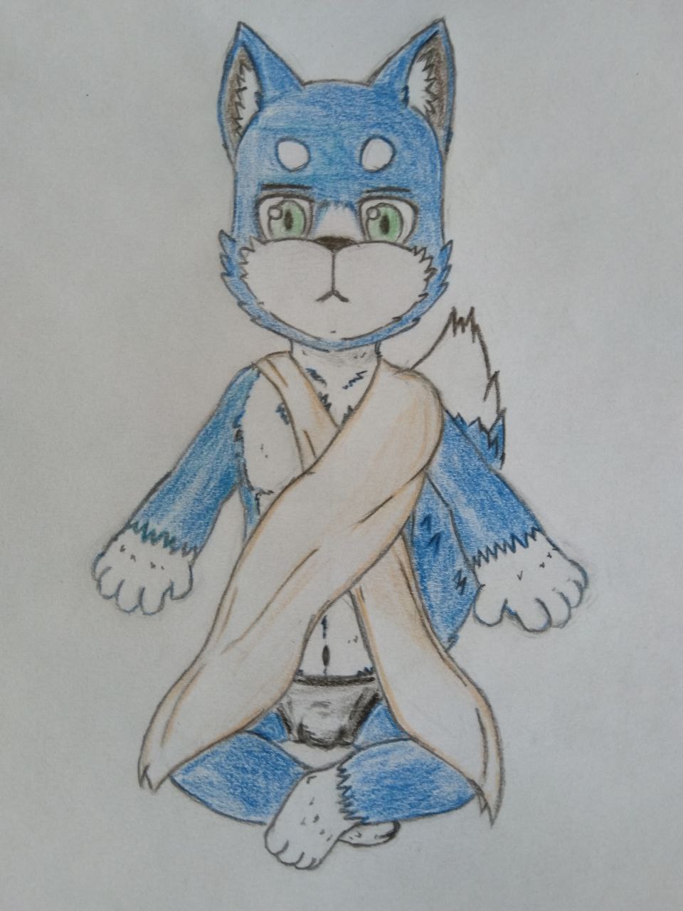 3944011_Chazchu_meditating_wolf_cub_-_finished.jpg