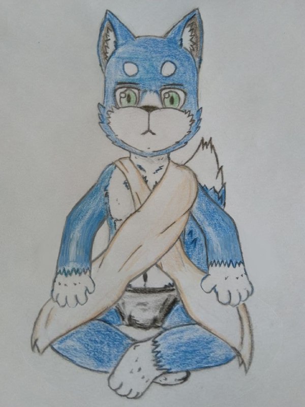 3944013_Chazchu_meditating_wolf_cub_-_finished_edited.jpg