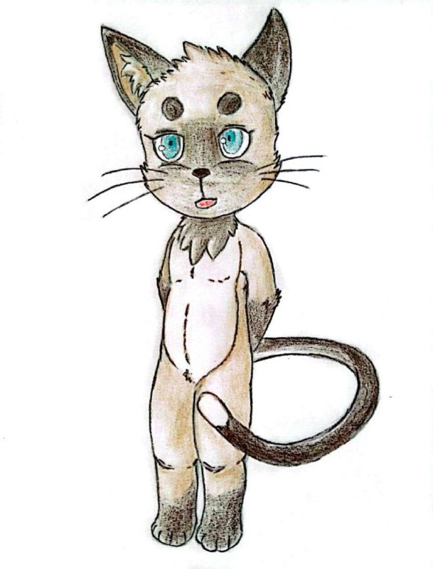 3948893_Chazchu_kiko_-_housecat_cub_boy_filter.jpg