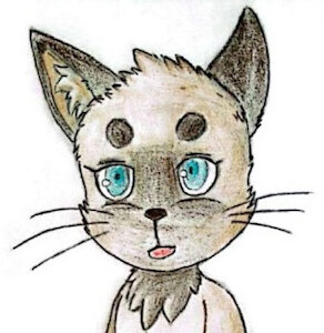 Kiko - Housecat Cub