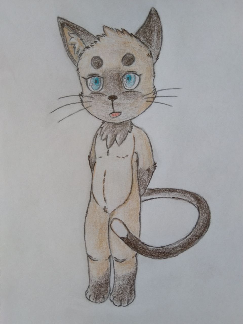 3948895_Chazchu_kiko_-_housecat_cub_boy.jpg