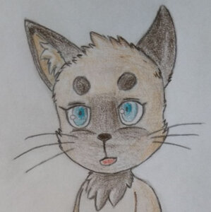 3948895_Chazchu_kiko_-_housecat_cub_boy.jpg
