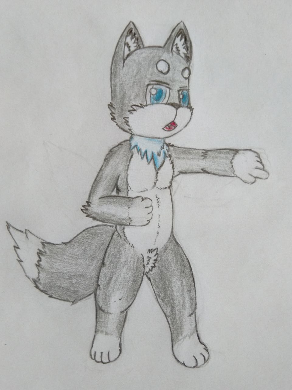 3949637_Chazchu_wolf_cub_pointing.jpg