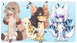 Adopts:Closed!