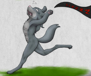 3959853_Animew_06_wolfyrun.jpg