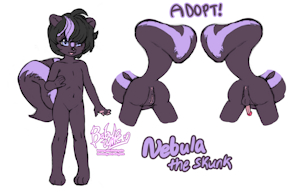 [SOLD] ADOPTABLE! Nebula the Skunk