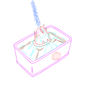 4004099_YacteruC1_export1642116059874.png