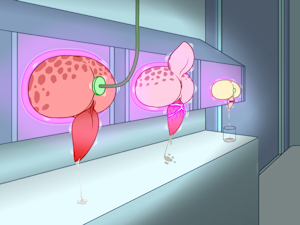 4004167_YacteruC1_3372346_yacteruc1_1606197222755.png