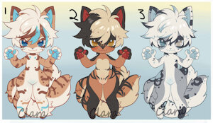 Adopts:Closed