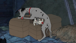 "101 Dalmatians: Coming of Age" illustration