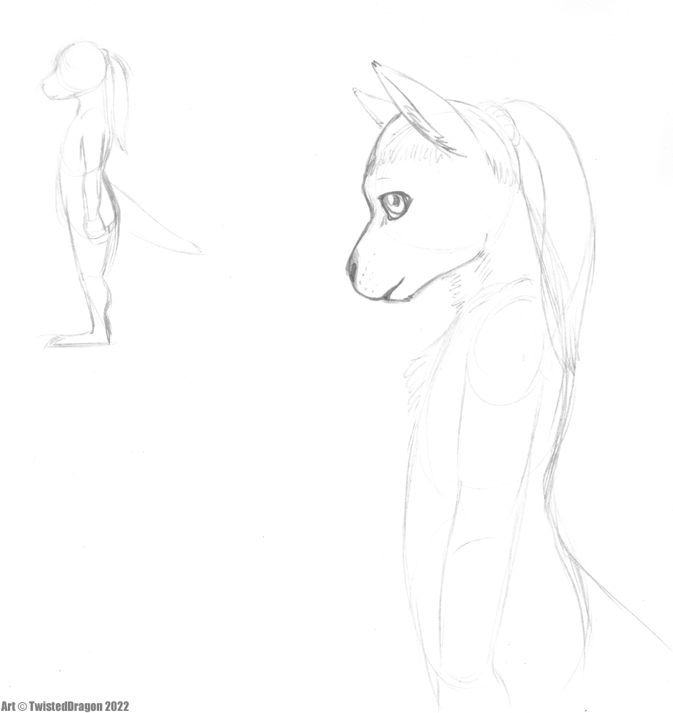 3970702_TwistedDragon_janierooconcept.png
