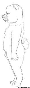 Small Sketch Dump (Male)