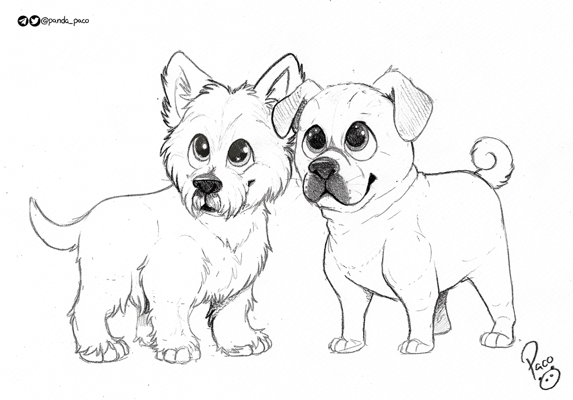 3974269_pandapaco_989tug_ailey_sketch.png