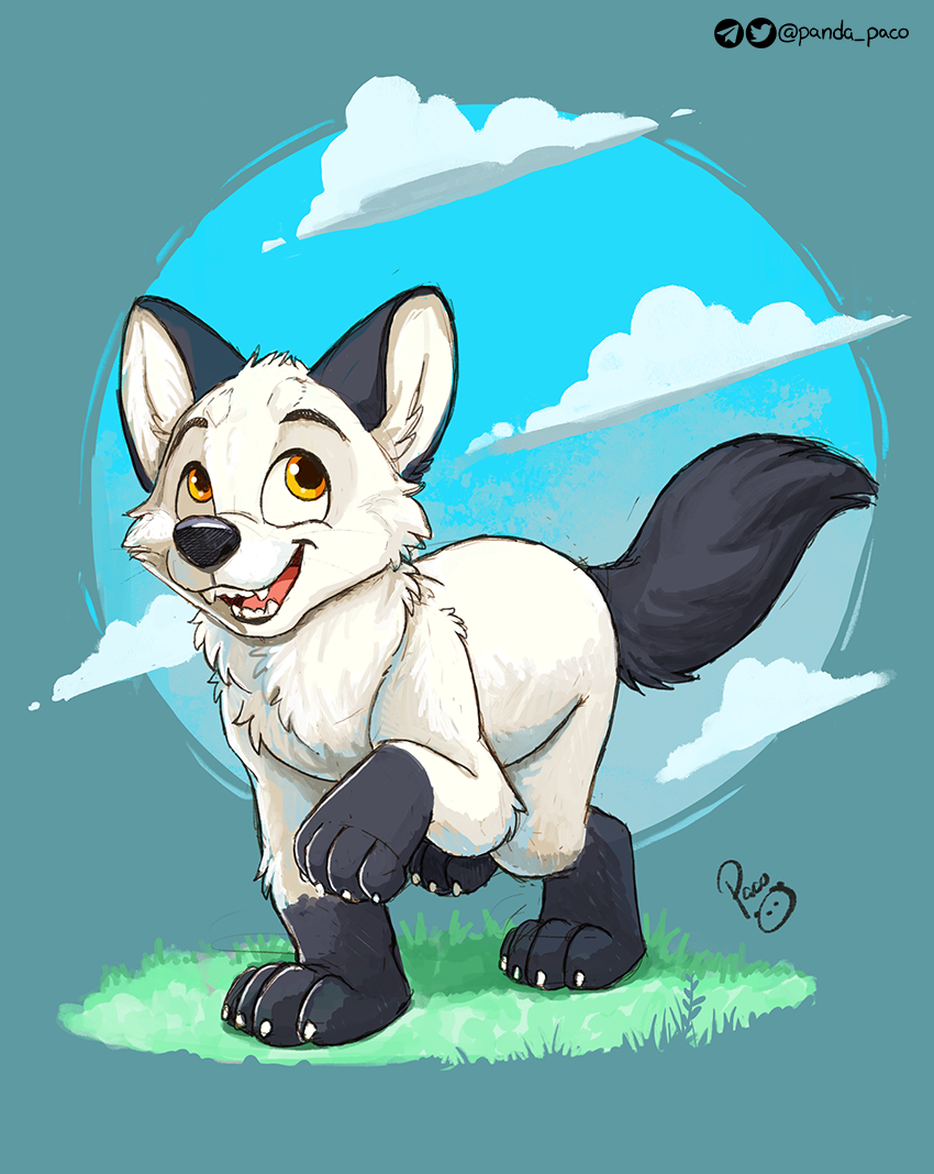 3974271_pandapaco_990tiratore.png