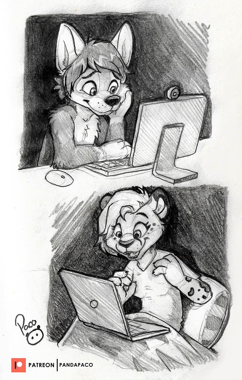 3974277_pandapaco_995balto_nikki.png
