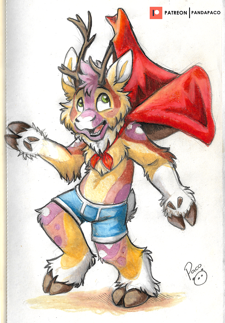 3974280_pandapaco_997cocoa.png