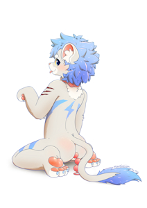 3981604_AFoxNamedFox__diaper_4.png