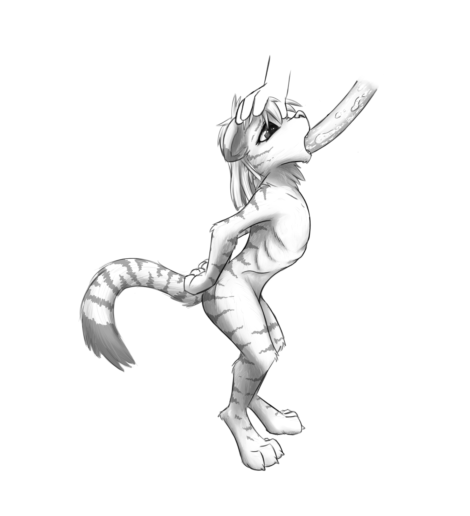 3984235_Chaon_a.png