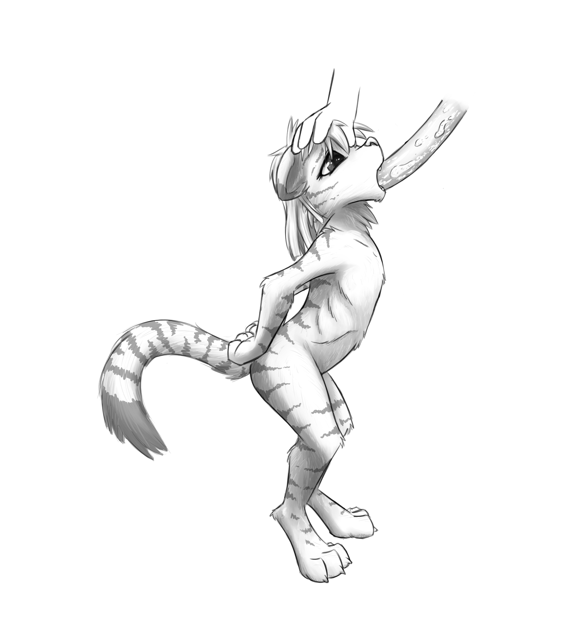 3984236_Chaon_b.png