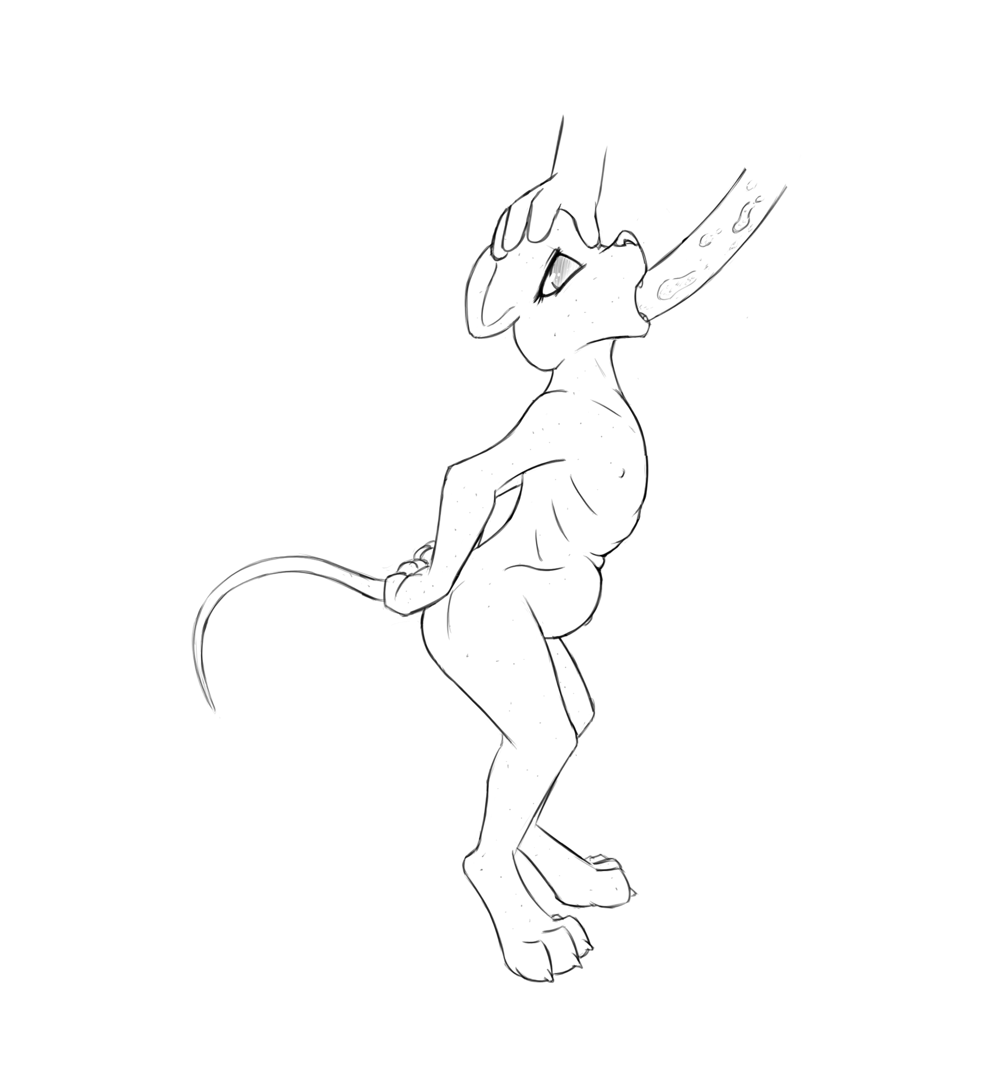 3984267_Chaon_d.png