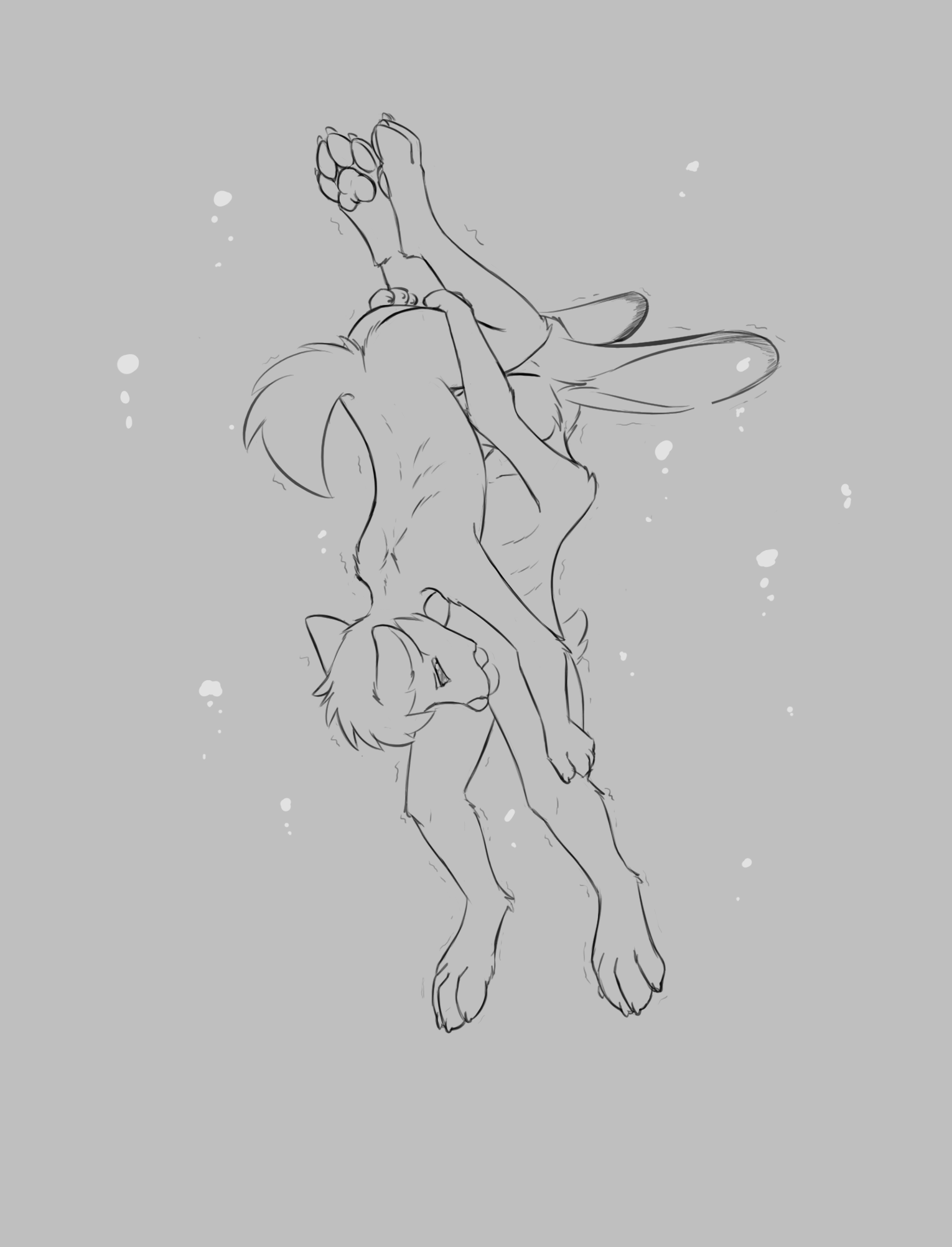 3984374_Chaon_b.png