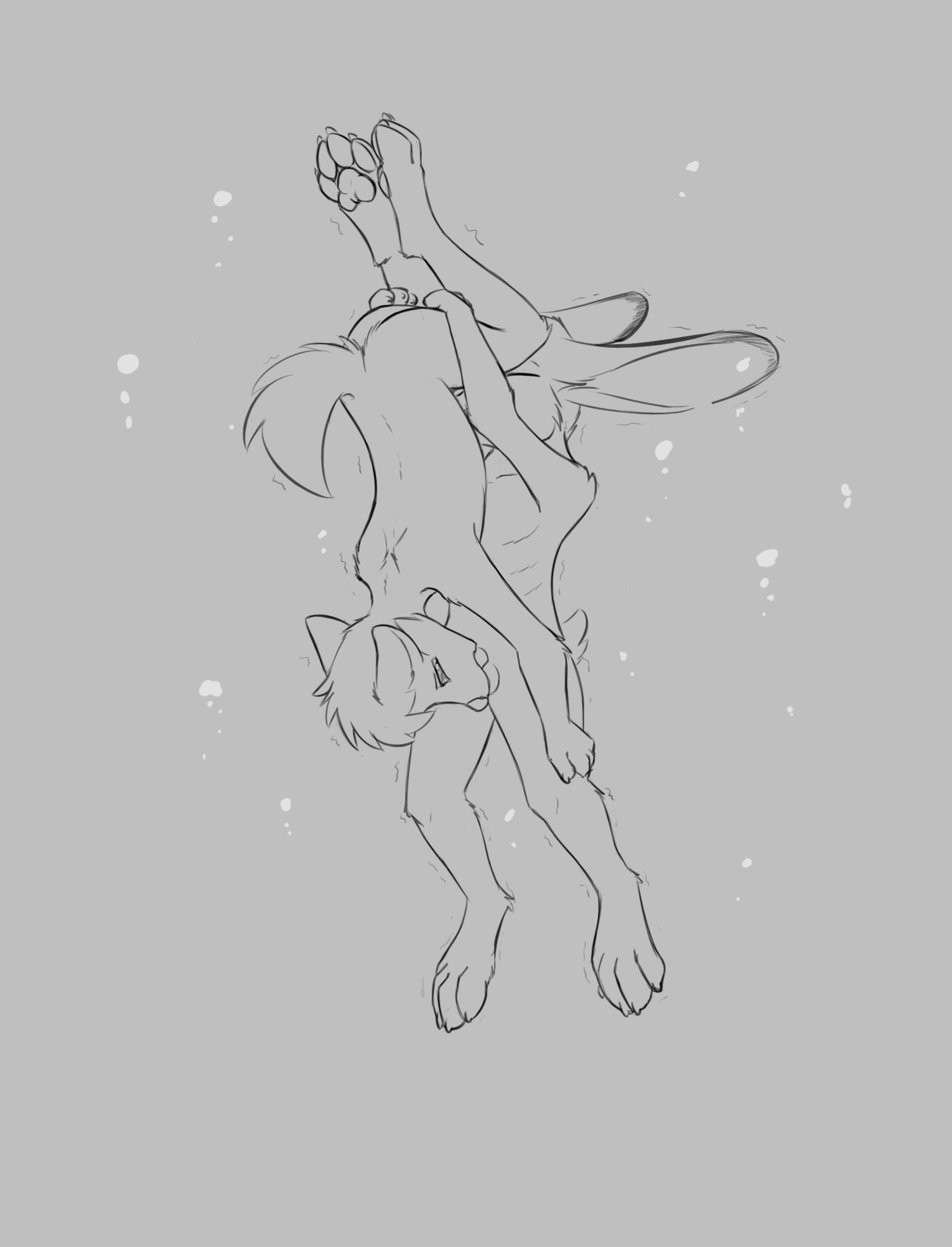 3984375_Chaon_c.png