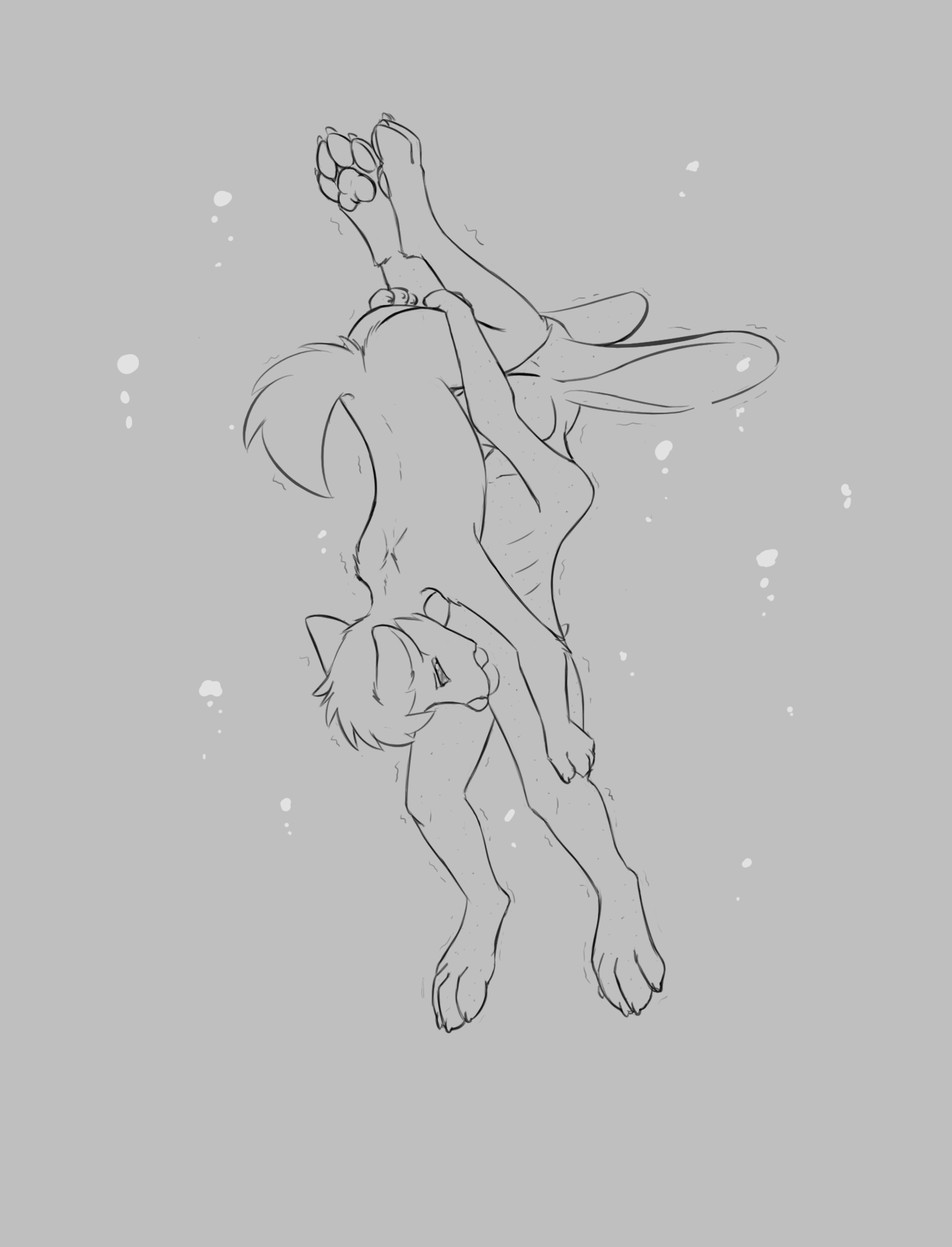 3984379_Chaon_c.png
