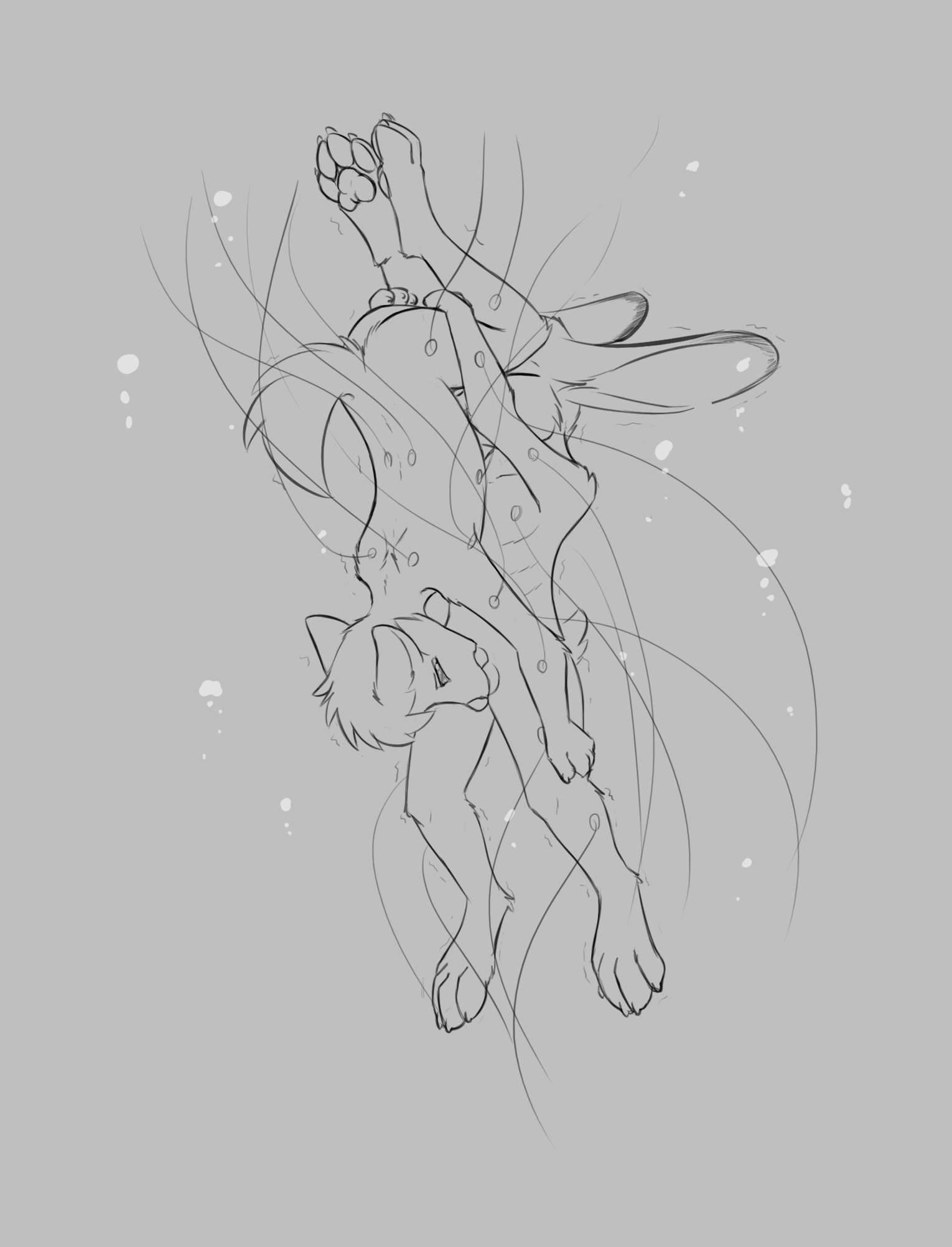 3984393_Chaon_c.png