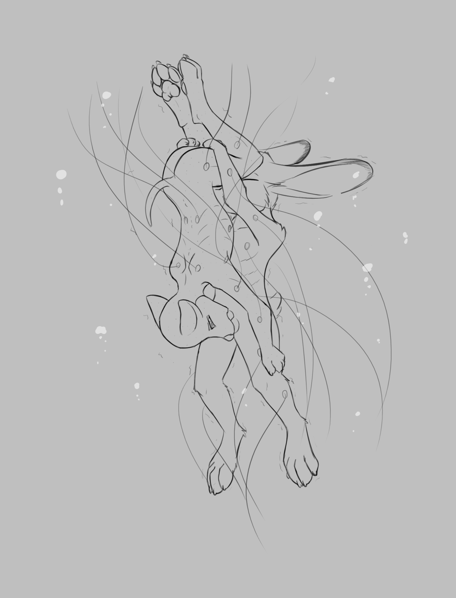 3984415_Chaon_a.png
