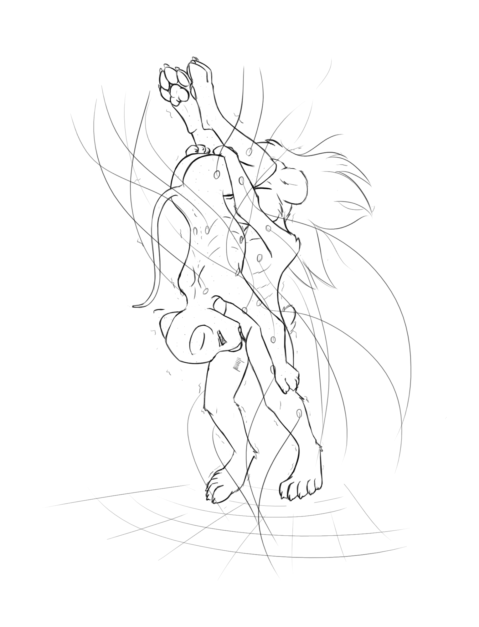 3984477_Chaon_a.png