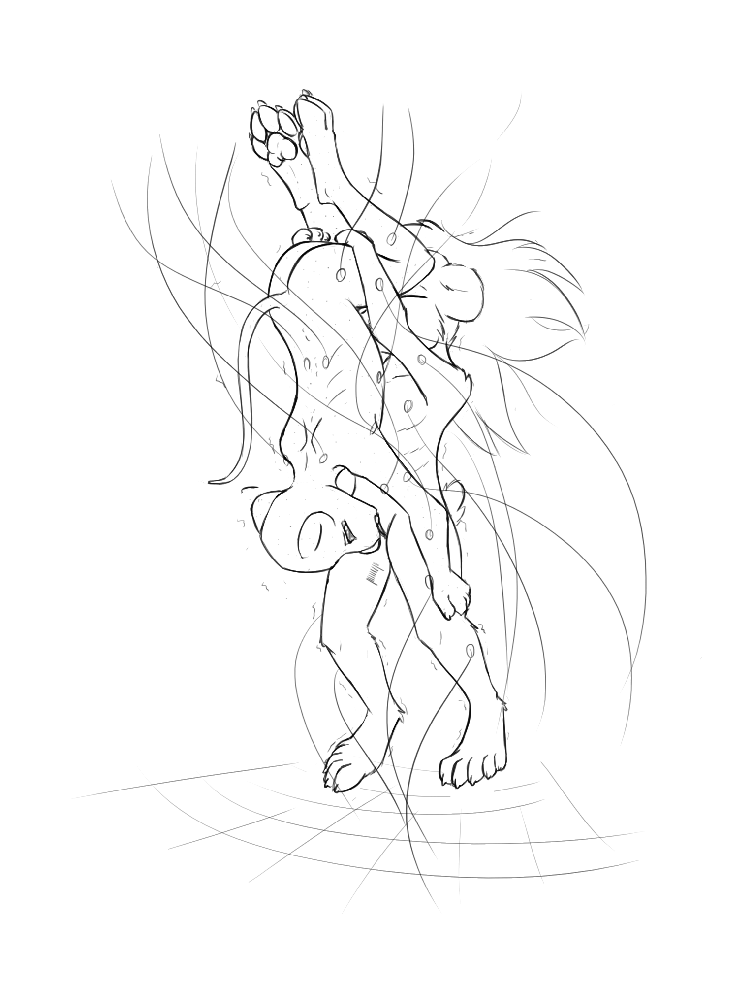 3984479_Chaon_b.png