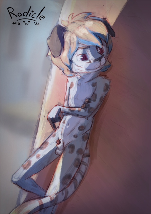 3985520_Rodicle_wingit_shane.png