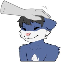 Kittor Head Pats