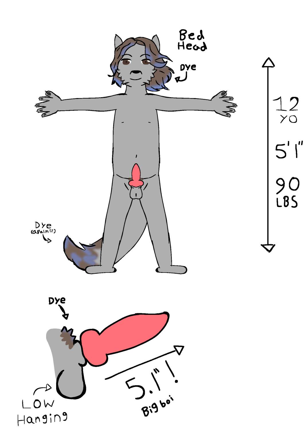 3993760_CloudHusky_sebastian.jpg