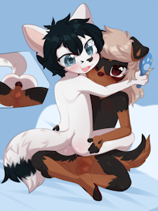 Comm:ShaneAndCo