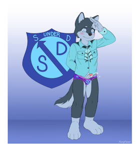 S under D: A new cub scout.