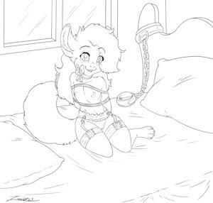 Chinchilla dance 3