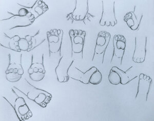 Pawfeet Reference Sheet