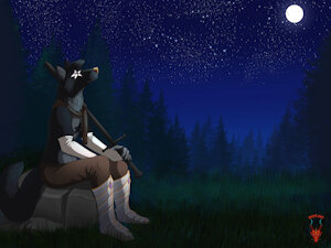 Moonlit Night