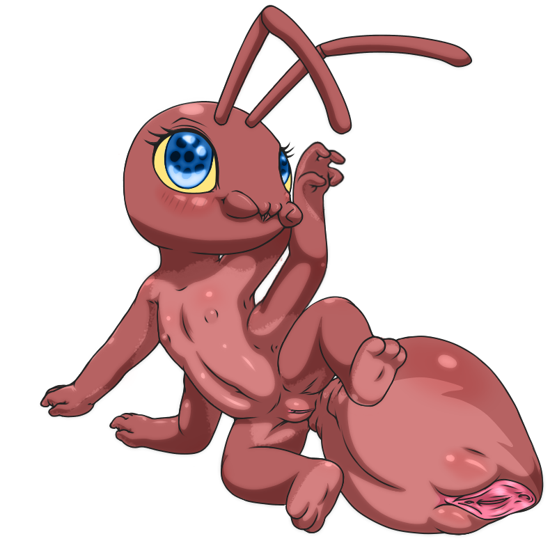 4015264_YacteruC1_export1652036953145.png