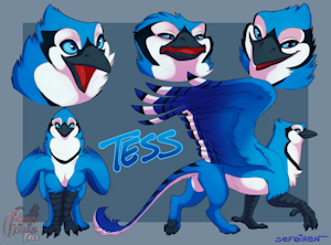 Here There Be Tess