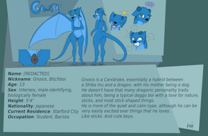 Reference sheet: Gnosis