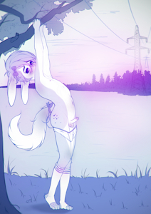Bunny in nature